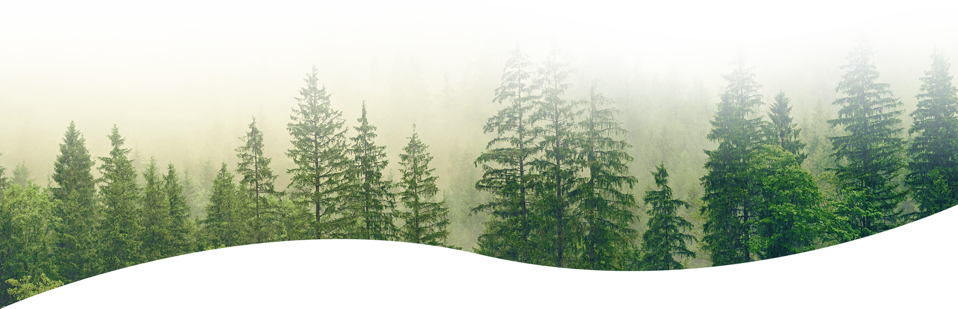 可持續(xù)發(fā)展